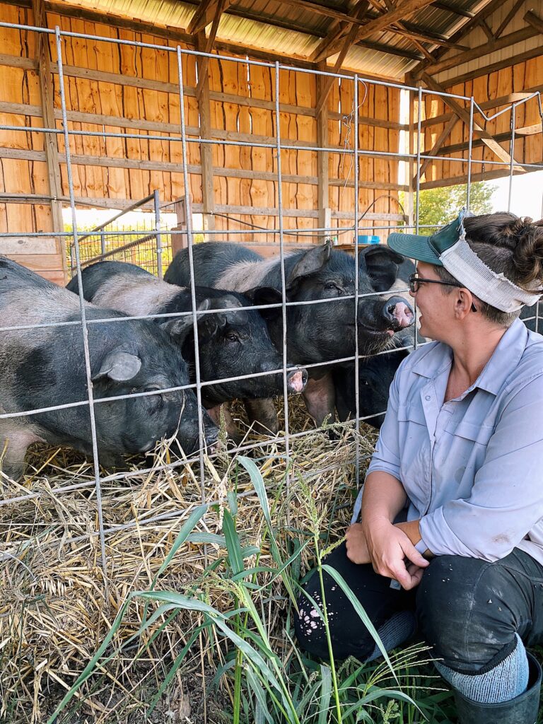 Nettle Valley Farm Pigs