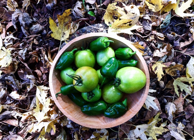 Green Tomatoes, CAPTURED: an exploration of food & culture by elisabeth a. fondell